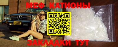 стаф Кингисепп
