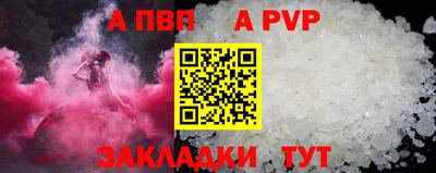 стаф Кингисепп