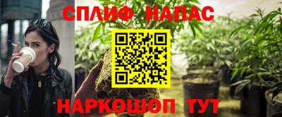 прущие грибы Кимры