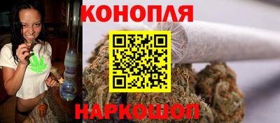 стаф Кингисепп