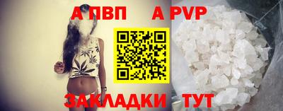 стаф Кингисепп