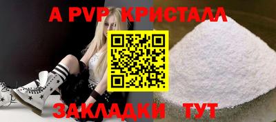 стаф Кингисепп