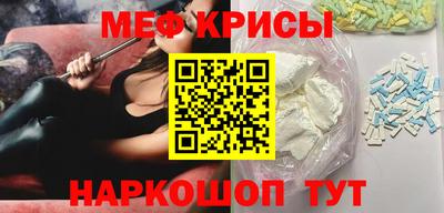 стаф Кингисепп