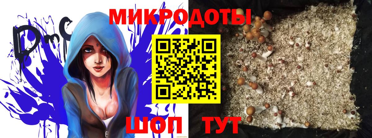 Лабытнанги  Псилоцибиновые грибы Magic Shrooms  Псилоцибиновые грибы GOLDEN TEACHER  Вход с VPN 