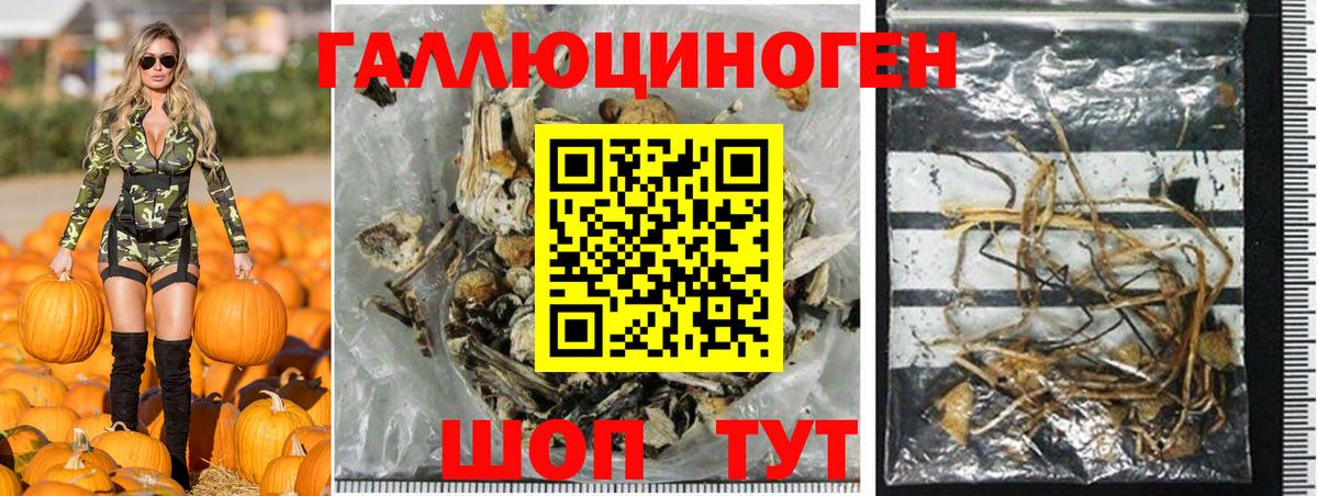 Псилоцибиновые грибы прущие грибы Лабытнанги